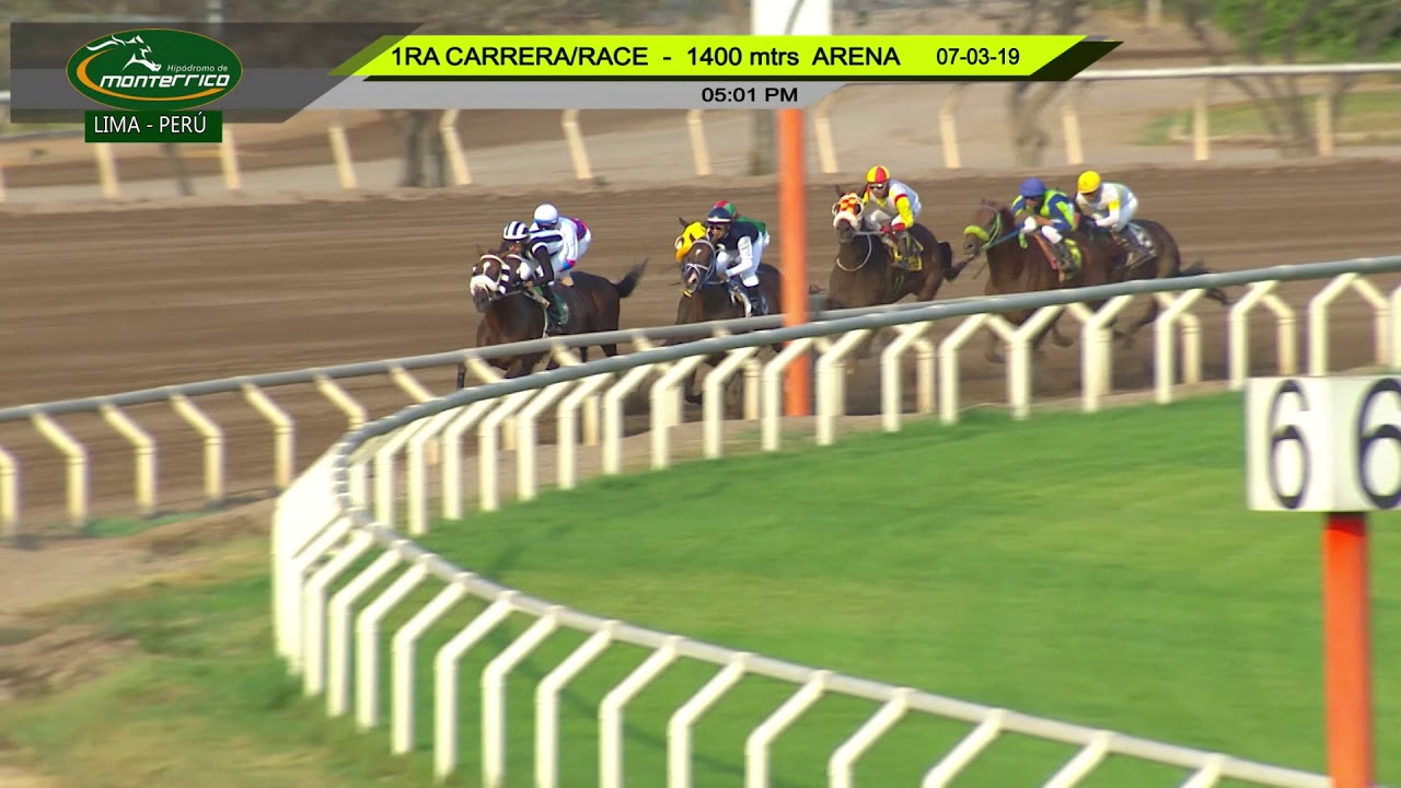 Hipódromo de Monterrico - 1ra. Carrera 07MARZO19 jockey club del perú facebook