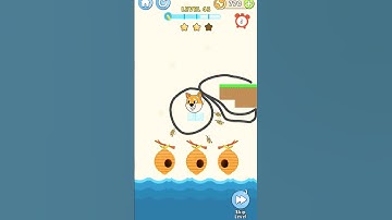 save the dog lavel 43 #nice #savethedog #short