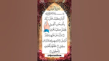سورة الفيل بصوت خاشع يلامس القلب 💥 قصة نصر الله العظيم على أصحاب الفيل!
