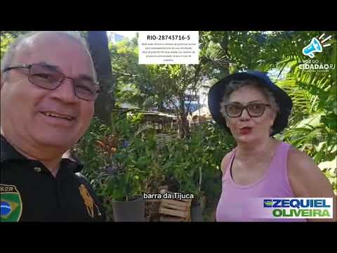 Assista: SOS ILHA DO GOVERNADOR