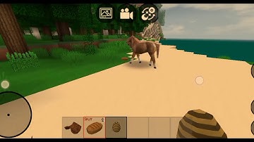 How to ride 🐎 horse in Mini Block Craft.
