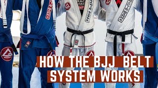 How Many Belts Are in Jiu-Jitsu? #BJJBasics Brazilian Jiu Jitsu Highest Belt