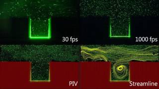 Integrated Cavity Video and PIV Results @ 0.2 m/sec in a water tunnel