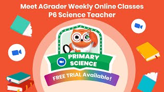 Primary 6 Science Teacher Intro - Weekly Online Classes News