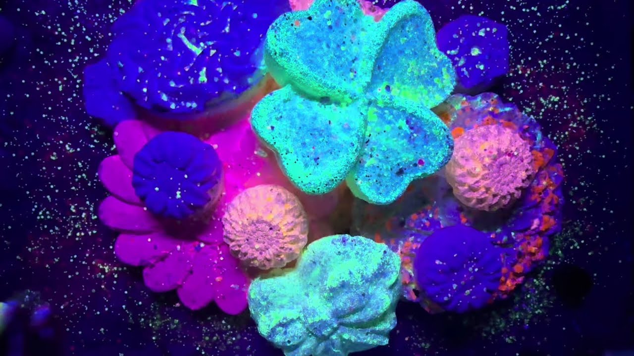 Gymchalk crush edit oddly satisfying anxiety relief credit 