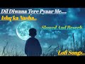 Dil Diwana Tere Pyaar Me Ishq Ka Nasha Slowed And Reverb New Hindi Songs 2026 mp3