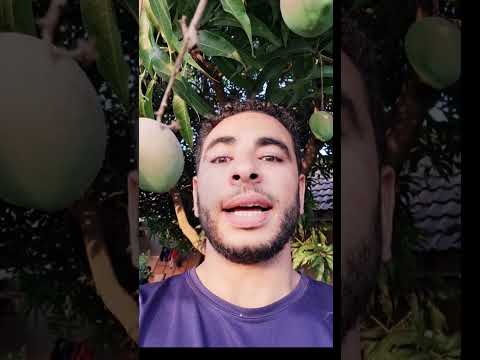 واش موزمبيق بفيزا للمغاربة أفريقيا أوروبا