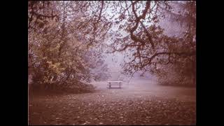 [FREE] Acoustic Guitar Type Beat - Still Life