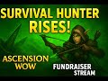 Survival Hunter Rises! | Ascension WoW Fundraiser Stream