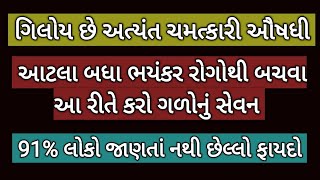 મહત્વની ઔષધિ ગિલોય ના જબરદસ્ત ફાયદા- વિવિધ રોગમાં ગિલોય વાપરવાની સાચી રીત- Health Benefits of Giloy