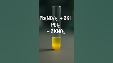 Activity 1.2 | Lead Nitrate and KI reaction 🔥 | Class 10 Science NCERT Chapter 1
