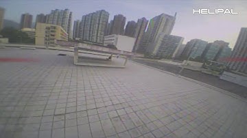 SRD101 Relax Flight - HeliPal.com