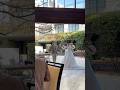 学生時代にダンスをしていたお二人は披露宴入場で披露!✨video by...@koji_1209wedding さま#一度きりの人生一度は魔法にかけられて #プラコレ #dressy花嫁#感動#ダンス