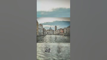 Make Colors Pop with AI Adjust Tool l Auto Color Correction