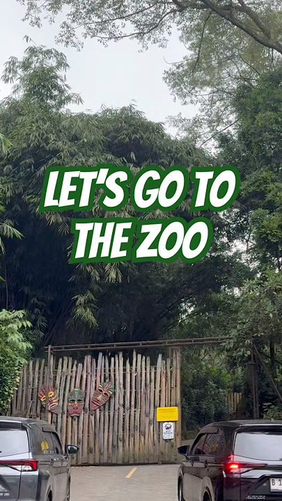 kira-kira singa suka wortel gak ges? #shortvideos #shorts #video #funnyvideos #safari #zoo #memes