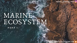 MARINE ECOSYSTEM - Malayalam | Ocean Ecosystem | Characters Of Marine Ecosystem | Botany | Zoology