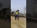 volleyball #spike #trending #viral #shorts #video