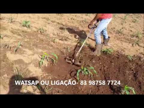 enxada rotativa adaptada em roçadeira QUAL O TAMANHO DEVE ESTÁ O MILHO PARA LIMPAR COM ENXADA ROTATIVA?