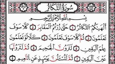 المقراء الشيخ محمد حسين عامر سورة التكاثر