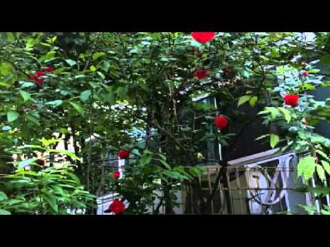 [everysing] 요즘 여자 요즘 남자