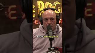 Python Problem in Florida | Joe Rogan & Jim Breuer #jre #shorts #animals #everglades #nature