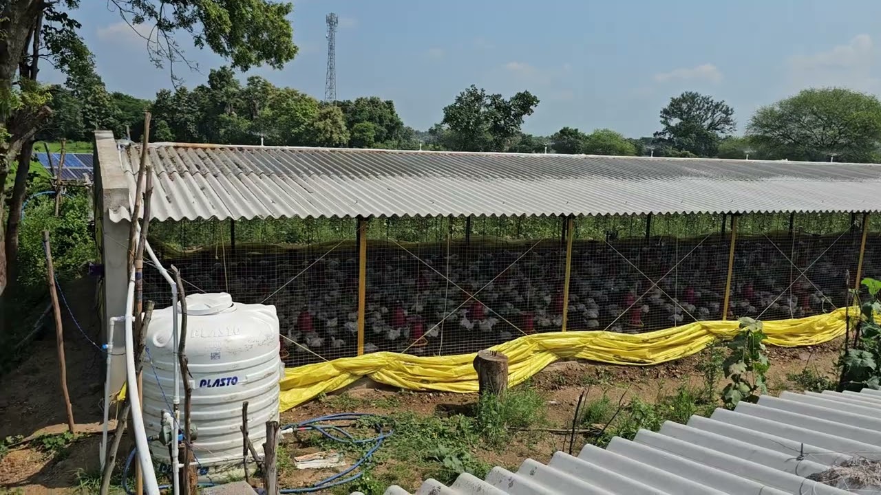 Artificial Rain What a Rainy Day 🌧