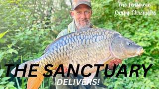 The Sanctuary Carp Lake: Stunning Fully Scaled Carp, Big Commons & New Beginnings