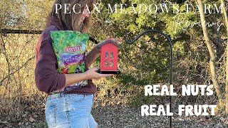 Kaytee Nut & Fruit Wild Bird Seed Review | Backyard Birds Prefer This Mix Kaytee Nut & Fruit Wild Bird Seed Review | Backyard Birds Prefer This Mix