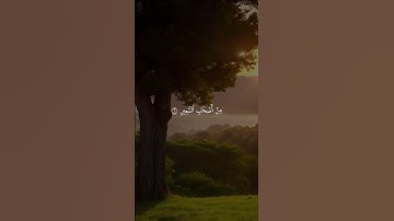 من سورة فاطر بصوت القارئ الشيخ ماهر المعيقلي 💙❤️‍🩹💙❤️