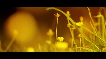 Microcosm - an audio/visual collaboration with visual hybrid