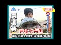 【柬埔寨】湄公河兇猛霸主  巨魾水牛魚｜《世界第一等》287集精華版