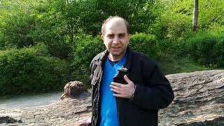 Alevilik