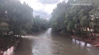 Feyra Meyra Bilmem Şimdi Nerdesin