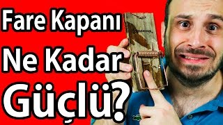Fare Kapanı Ne Kadar Güçlü? Parmağımı Kaptırdım