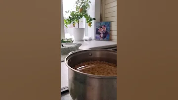 НУТ ЗА ПЯТЬ МИНУТ