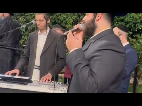 משה דוד וייסמאנדל & צביקי לוין בחופה מרגשת #livemusic