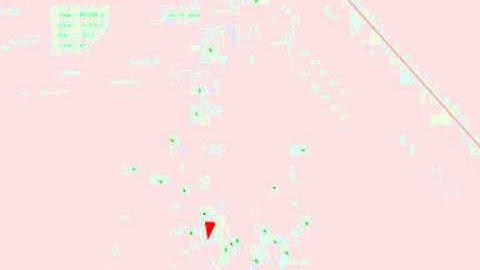 Swarm escaping predator