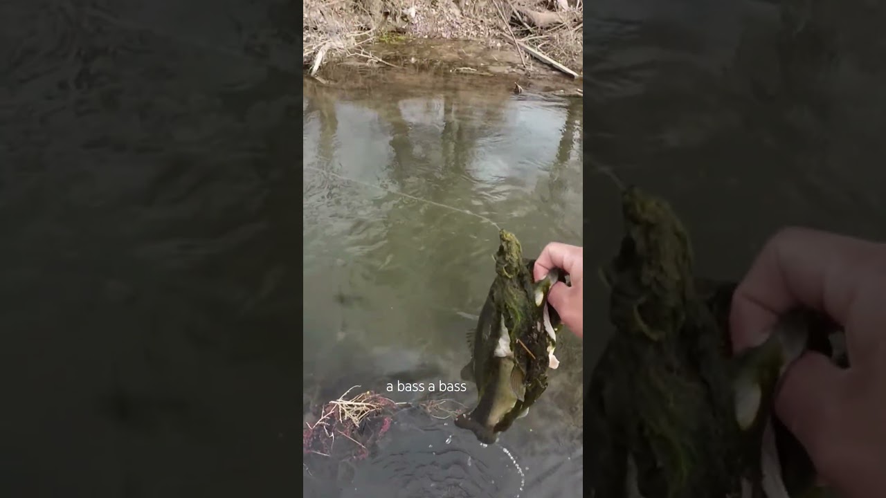 Wasn't expecting this! #wildhookadventures #newmexico #troutfishing #bassfishing #urban