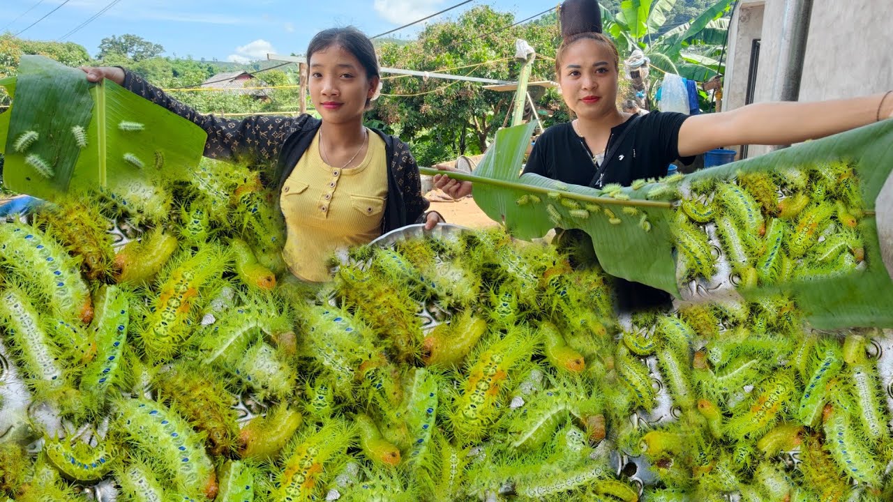 Sâu Nẹt Lá Chuối Món Mà Ai Nhìn Thấy Cũng Sợ (Bản Rút Gọn) 