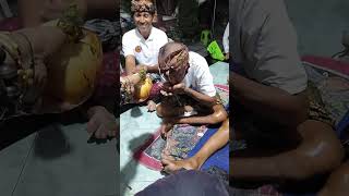 Download Lagu CUING PED ❗❗❗BUAYA TUA MP3