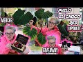 Philodendron El Choco Red House Plant Update, Giveaway & Plant Mail