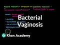 What is bacterial vaginosis? | Infectious diseases | NCLEX-RN | Khan Academy