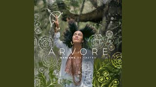 Árvore