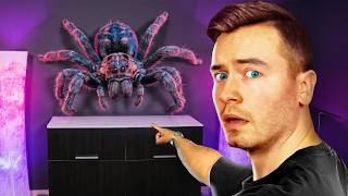 RIESEN SPINNE lebt in meinem HAUS...🕷️
