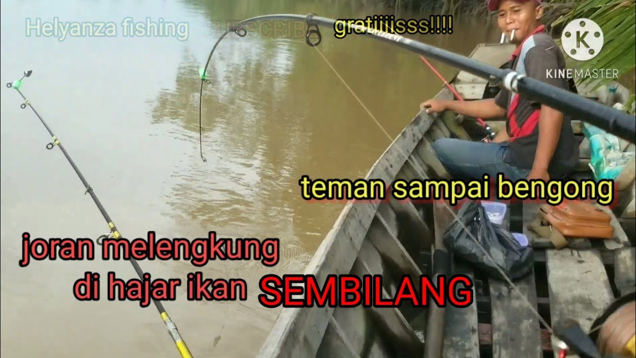 MANCING IKAN SEMBILANG DI SUNGAI., DAPAT IKAN DURI DAN IKAN GULAMA,..