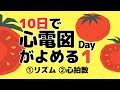 【10日で心電図がよめる】1日目 ①リズム ②心拍数