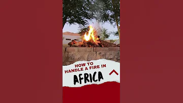 How To Handle A Fire Likeaboss Africa Shorts 