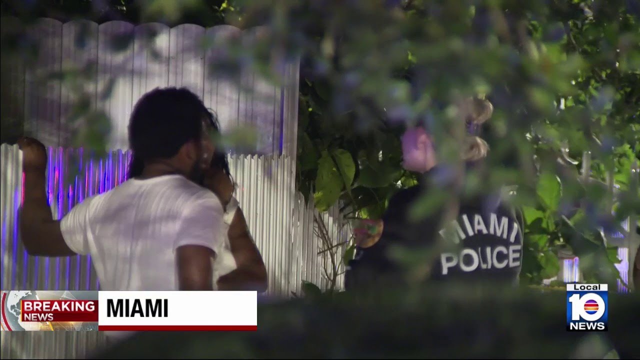Man killed in Miami dog attack - YouTube