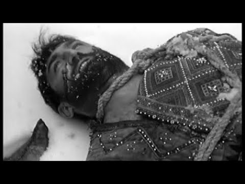 \"ვედრება\" - \"ძაღლ იყოს თქვენის მკვდრისადა\" (VEDREBA)