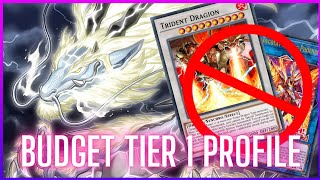 BUDGET Tenpai Dragon Deck Profile!